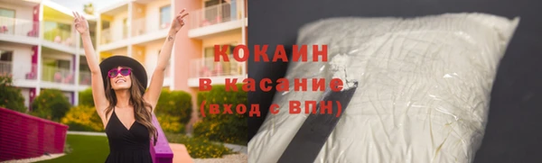 прущие грибы Арсеньев