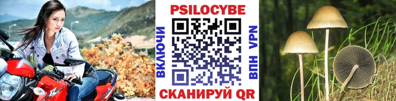 Псилоцибиновые грибы Cubensis  как найти закладки  Ленск 